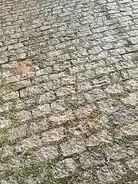 DiamanteNegro90 online show from 04.07.26