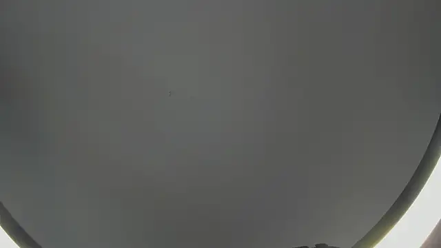 Snapshot of SinLickerr chatting on 02.18.26 SinLickerr online show from 02.18.26