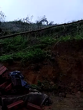 lovely-742 online show from 03.12.26