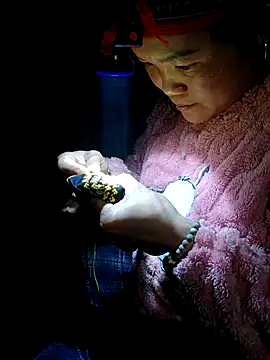 nelina 12345 online show from 02.19.26