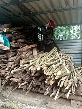 nelina 12345 online show from 04.15.26