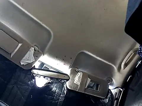 dustbunny64 online show from 05.08.26