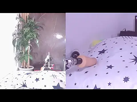 Carol Swet online show from 04.21.26