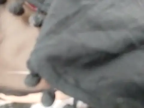 VeraVS online show from 02.20.26