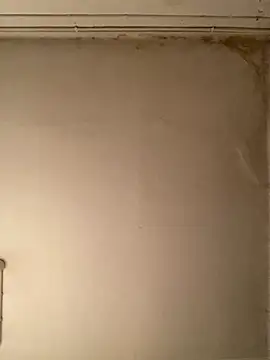 Snapshot of _Sabah_ chatting on 02.23.26 Sabah online show from 02.23.26