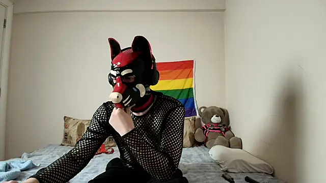 K9 GoodBoy online show from 04.09.26