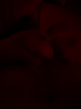 shark822 online show from 02.20.26