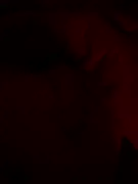 shark822 online show from 02.26.26