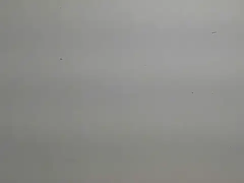 Snapshot of risu_00 chatting on 03.06.26 risu 00 online show from 03.06.26