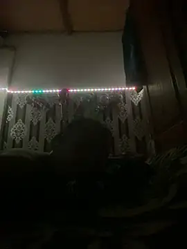 salimi26 online show from 02.25.26