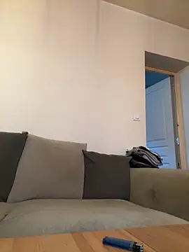 Snapshot of Crevette311 chatting on 11.26.25 Crevette311 online show from 11.26.25