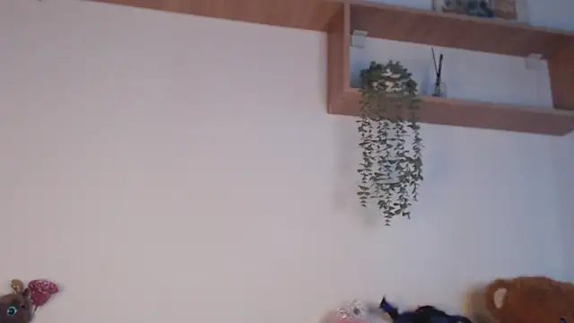 SPICYKC online show from 04.07.26