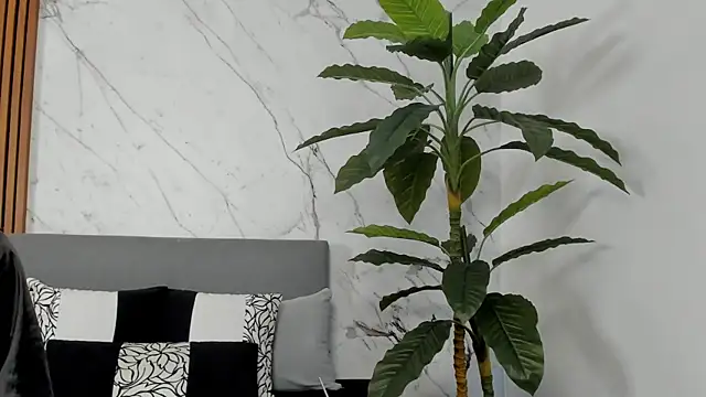 Amara Velvet  online show from 07.14.26