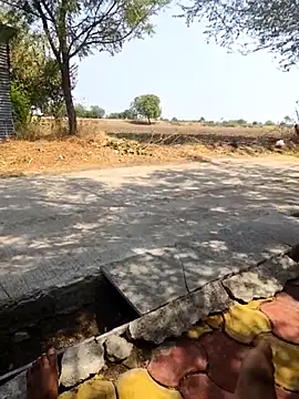 Fantasy King 3939 online show from 03.13.26