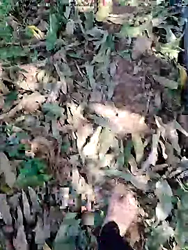 blackbeauty321 online show from 03.03.26