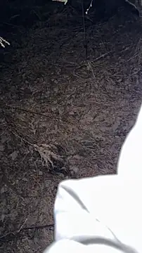 salfetka sex online show from 03.23.26