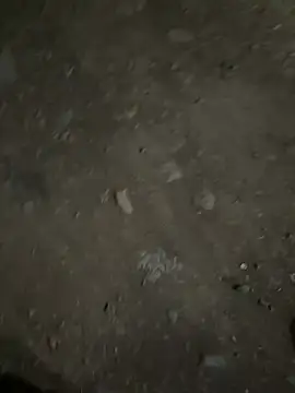 Snapshot of parth73637 chatting on 02.23.26 parth73637 online show from 02.23.26