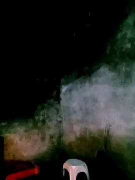 elen8800 online show from 04.19.26