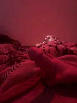 Snapshot of 689Nika chatting on 04.07.26 689Nika online show from 04.07.26