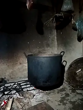 pic8800 online show from 03.31.26