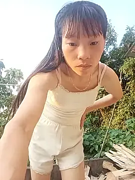 pic8800 online show from 05.16.26