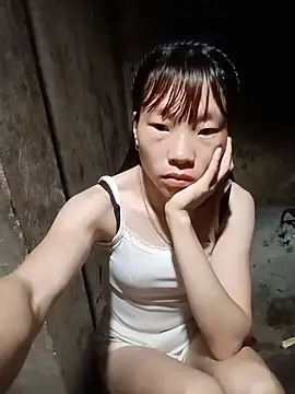 pic8800 online show from 05.20.26