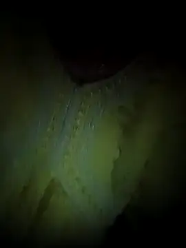 Rashmika Mandana online show from 04.08.26