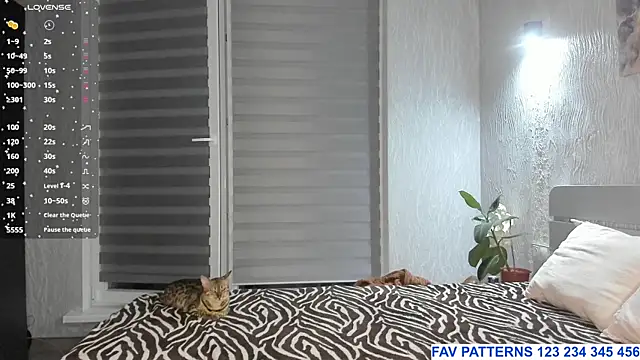SophieShyy online show from 07.23.26