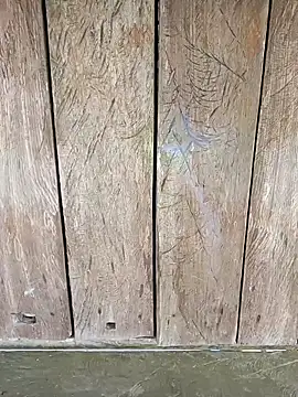 Heylen hooo online show from 04.20.26