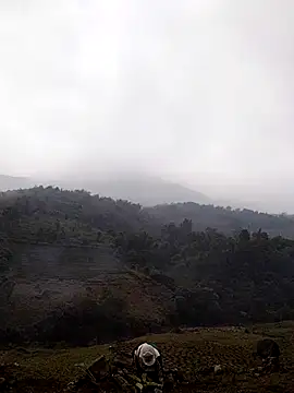 lyly sexx online show from 03.14.26