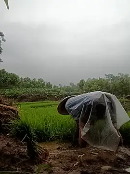 lyly sexx online show from 05.17.26