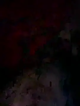 bwcyoussef online show from 02.27.26