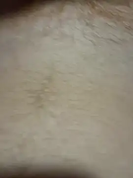 TheChavyGinge online show from 03.18.26