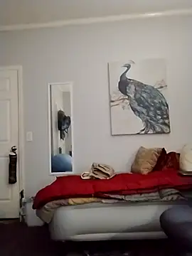 coestet online show from 04.19.26