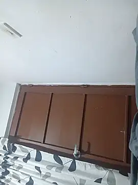 Snapshot of OpalineLineman chatting on 03.02.26 OpalineLineman online show from 03.02.26