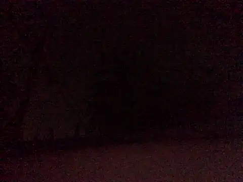 Donkie909 online show from 04.09.26