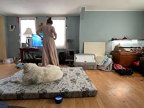 highimmaryjane online show from 03.25.26