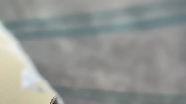 the-gen-xxx online show from 03.17.26