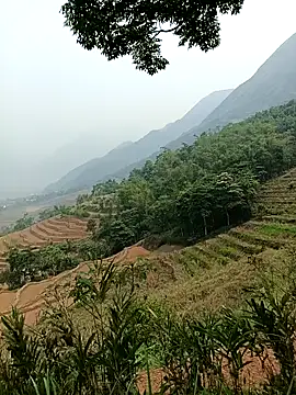 Yuhi3d online show from 04.14.26