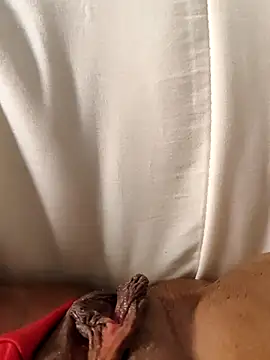 hasapequinha online show from 03.19.26