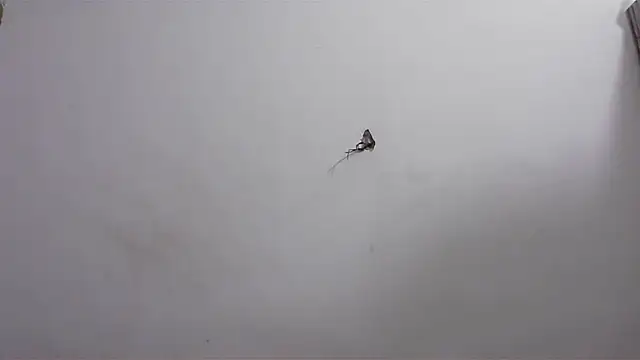 hard to do   online show from 04.20.26