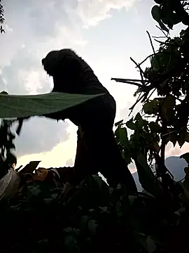 Bling-pusy online show from 04.08.26