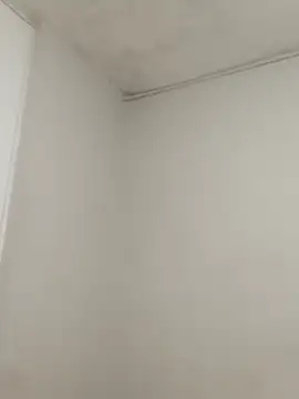 hacheshx online show from 03.17.26