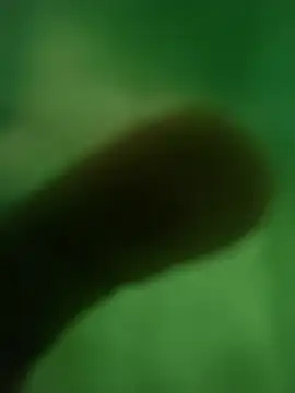 Snapshot of ffgffefgg chatting on 03.12.26 ffgffefgg online show from 03.12.26