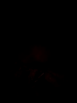 tina2005 online show from 03.31.26