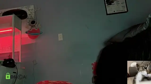 NatryDark online show from 05.16.26