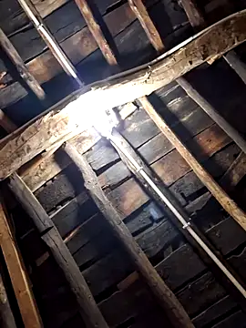 Alge882 online show from 04.05.26