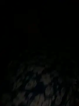 savageebny online show from 06.20.26