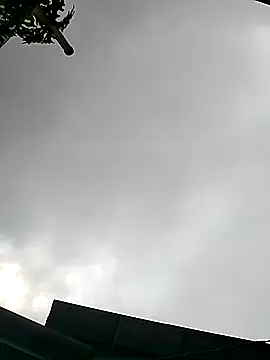 Cute-flowers online show from 03.21.26