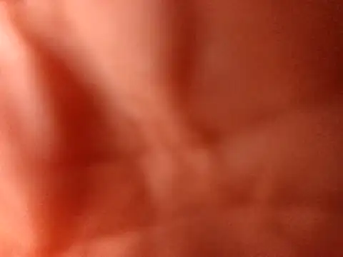 PinkredWad online show from 04.01.26